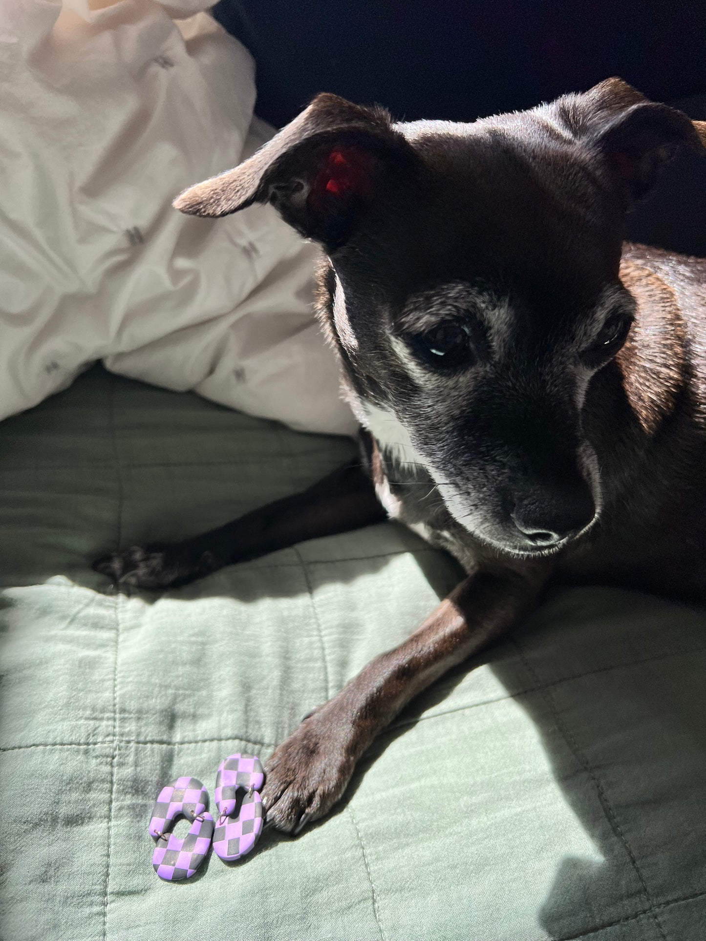 Black & Purple Checkered Comma Comma Stud Dangles